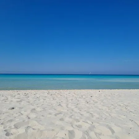 La Palma Accommodatie bij particulieren Livorno