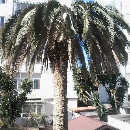 La Palma Homestay *